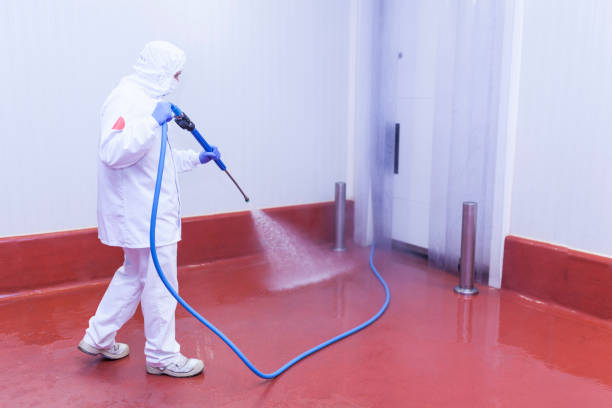 Best Building Exterior Washing  in Fruitland, NC